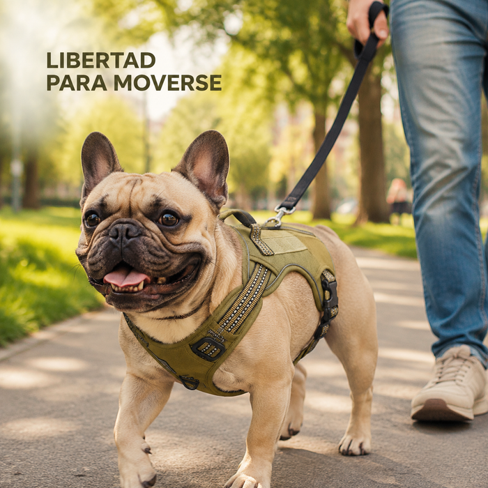 Arnés Multifuncional para Perros Pequeños y Medianos con Bolsa para Desechos