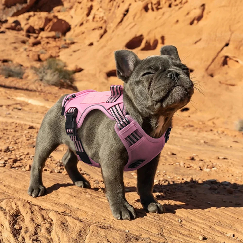 Handheld French Bulldog Pet Harness for Small Medium Dogs Multifunctional Dog Harnesses Vest with Poop Bag Mascotas Accessories