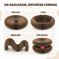 Rascador Interactivo y Ajustable para Gatos