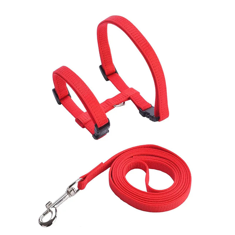 Cheap Sphynx Cat Harness and Leash Set Convenient Pet Harnesses for Cats Gotas Katten Mascotas Accessories Outdoor Kedi Cat Lead