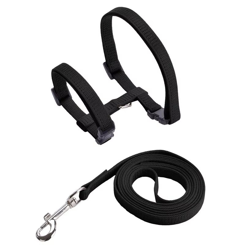 Cheap Sphynx Cat Harness and Leash Set Convenient Pet Harnesses for Cats Gotas Katten Mascotas Accessories Outdoor Kedi Cat Lead