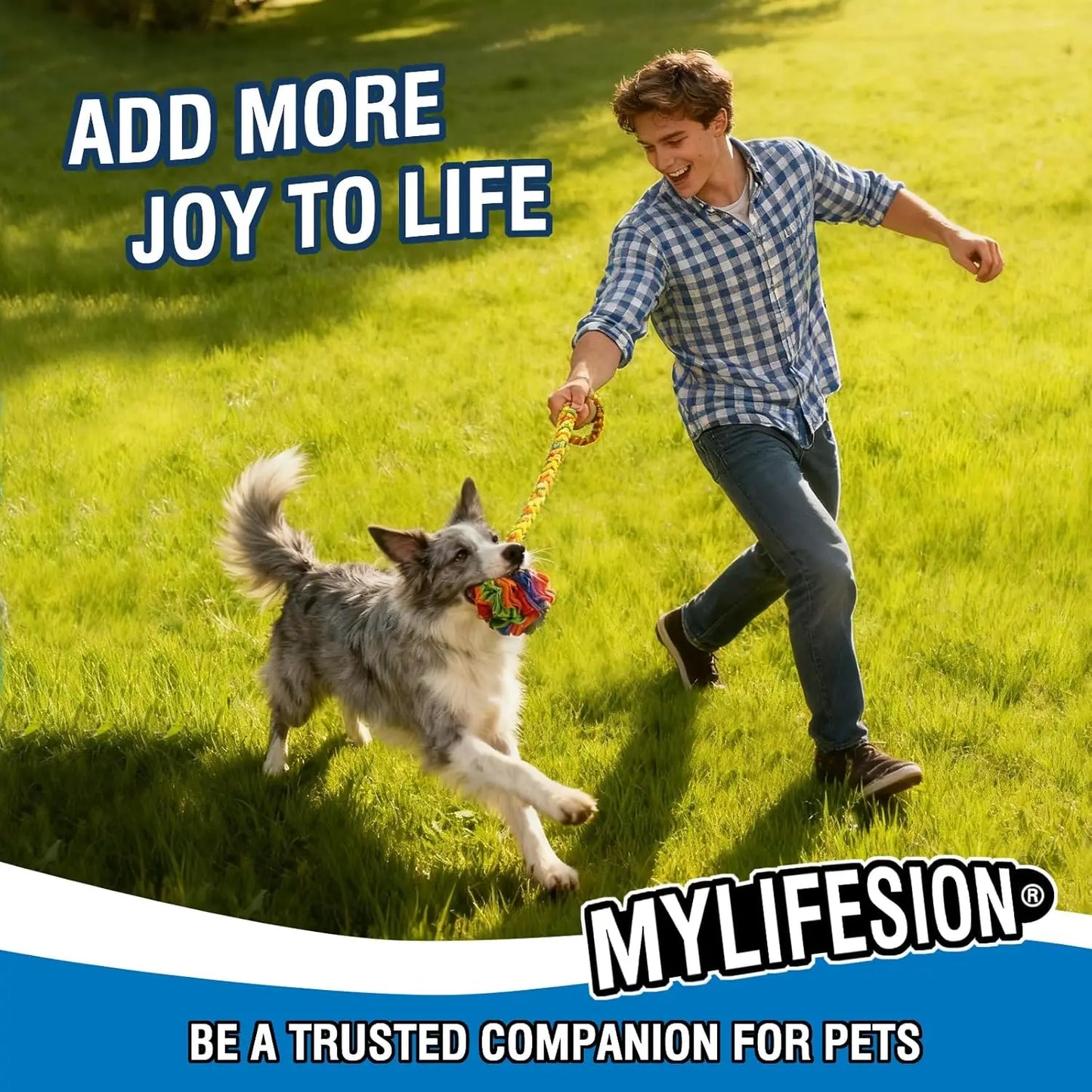 Dog Enrichment Puzzle Toy, Snuffle Ball for Hiding Treats & Slow Feeder, Mental Stimulation Chew Toy for Anxiety Relief in Puppy