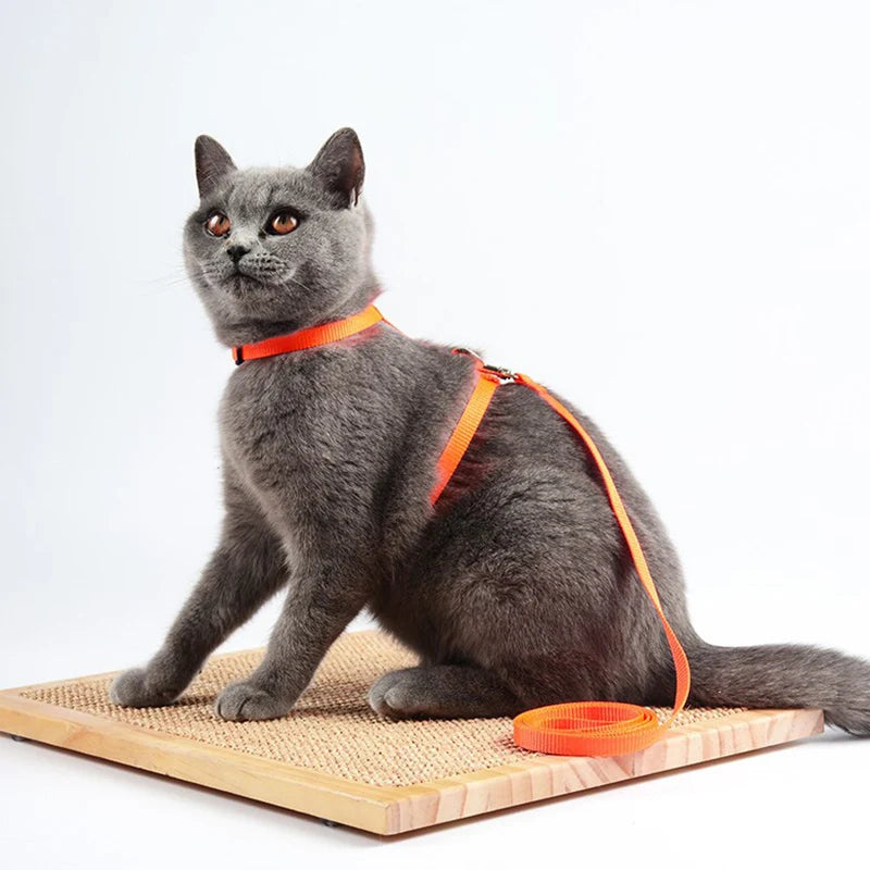 Cheap Sphynx Cat Harness and Leash Set Convenient Pet Harnesses for Cats Gotas Katten Mascotas Accessories Outdoor Kedi Cat Lead