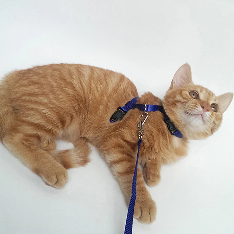 Cheap Sphynx Cat Harness and Leash Set Convenient Pet Harnesses for Cats Gotas Katten Mascotas Accessories Outdoor Kedi Cat Lead
