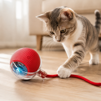 Pelota Interactiva Recargable para Mascotas